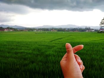 Cropped image of person hand on field against sky