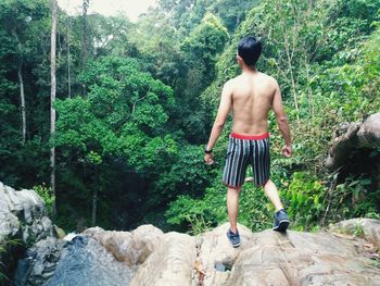 Rear view of man looking at forest