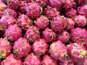 Full frame shot of pink flowers in market