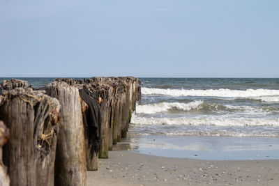 Wooden posts on beach against clear sky