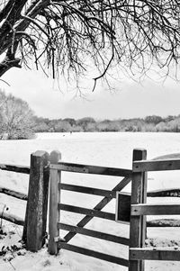 Close-up of railing by lake during winter