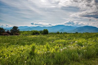 Countryside landscape against the sky