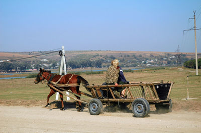 Horse cart on street against sky