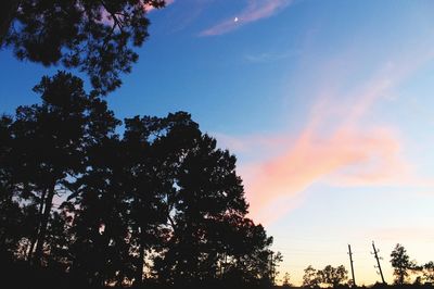 Low angle view of silhouette trees against sky at sunset