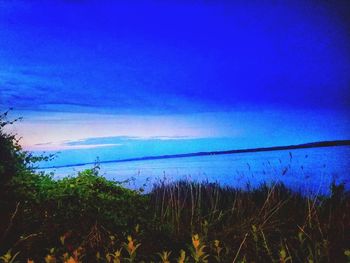 Scenic view of landscape against blue sky