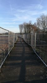 Footpath amidst bare trees against sky