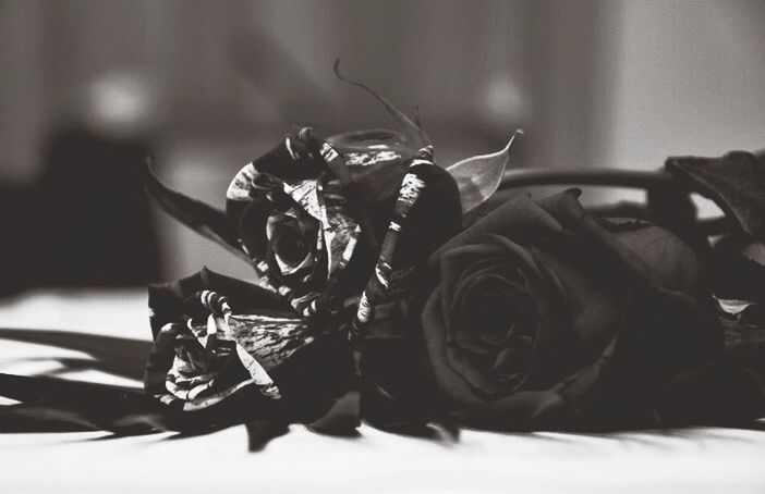 indoors, close-up, flower, still life, table, freshness, focus on foreground, home interior, petal, fragility, selective focus, rose - flower, no people, vase, flower head, high angle view, plant, day, growth, leaf