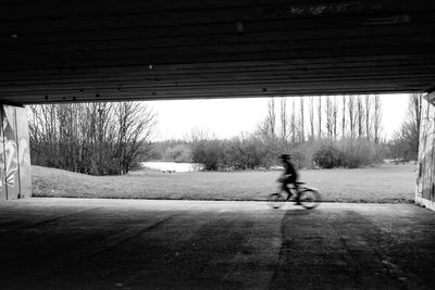 People walking on road