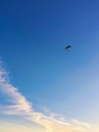 Low angle view of bird flying against blue sky