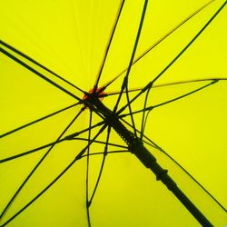 Close-up of spider on plant