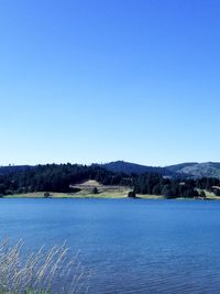 Scenic view of river against clear blue sky