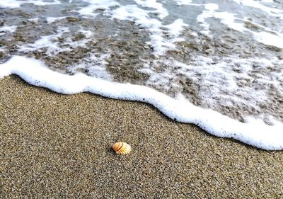 Close-up of wave on beach