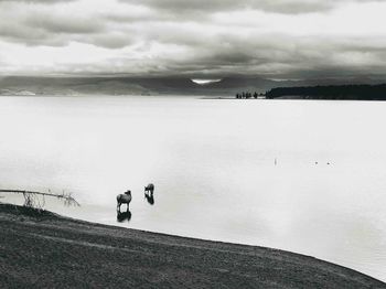 Scenic view of sea against sky