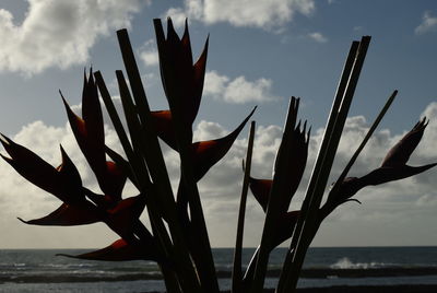 Close-up of sea against sky