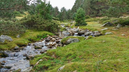 Scenic view of green landscape against sky