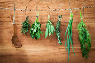 Herbs hanging on rope