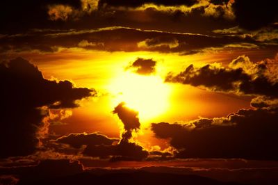 Silhouette trees against sky during sunset