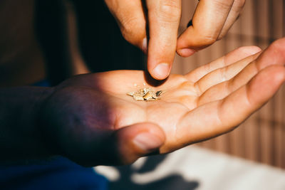 Cropped hands holding plant bark pieces