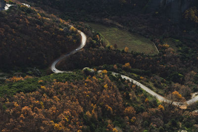 High angle view of road amidst trees in forest