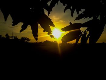 Silhouette trees against sky during sunset