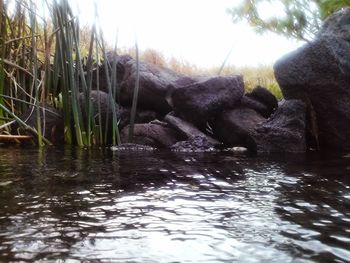 Scenic view of river against sky