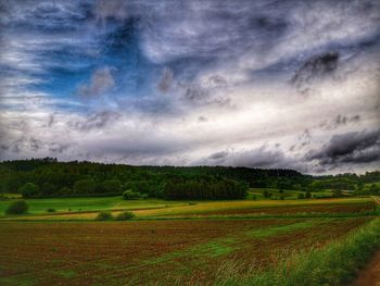 Scenic view of agricultural field against sky