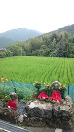 Scenic view of mountains against clear sky