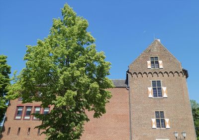 Low angle view of trees and building against clear blue sky