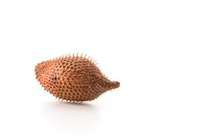 Close-up of strawberry against white background