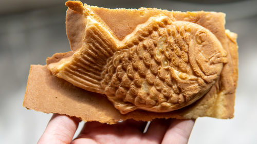 Close-up of hand holding bread