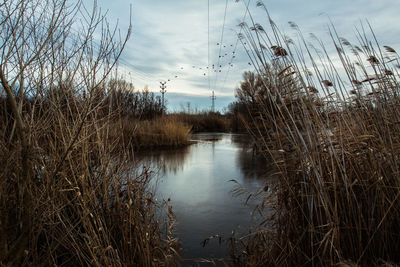Scenic view of lake against sky