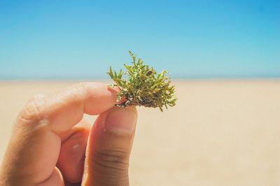 Close-up of woman hand holding sand against clear sky