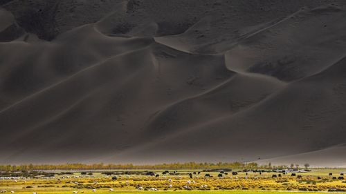 Scenic view of arid landscape