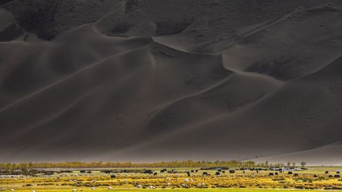 Scenic view of arid landscape