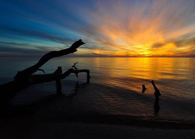 Silhouette man by sea against sky during sunset