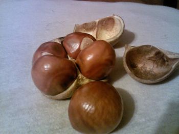 Close-up of eggs on table