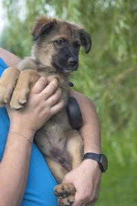 Low section of woman holding puppy