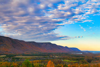 landscape
