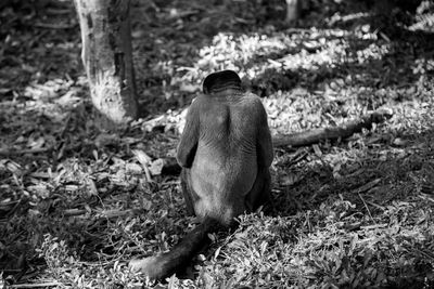 Rear view of man sitting on field