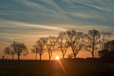 Silhouette trees on field against sky during sunset