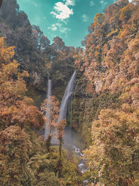 Scenic view of waterfall in forest during autumn