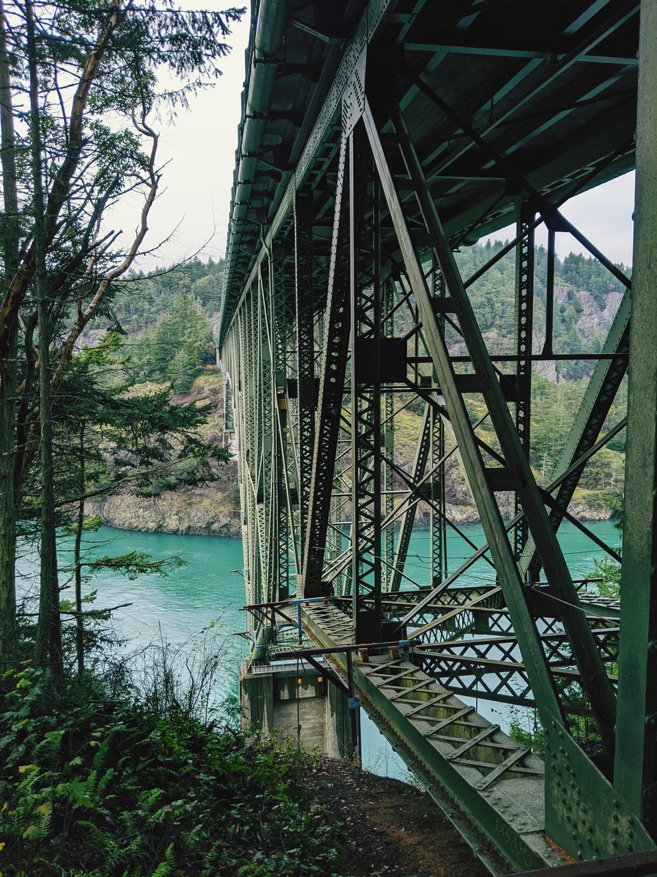 BRIDGE OVER RIVER AMIDST TREES