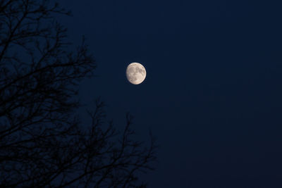 Low angle view of moon in sky at night