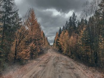 Road amidst trees in forest against sky