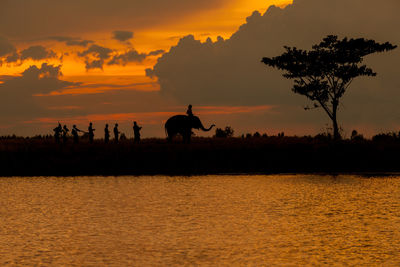 Silhouette birds by lake against sky during sunset