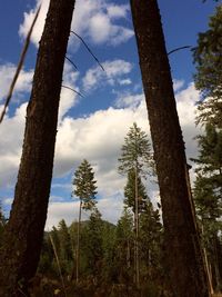 Low angle view of trees against cloudy sky