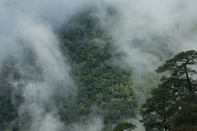 Scenic view of waterfall in forest against sky