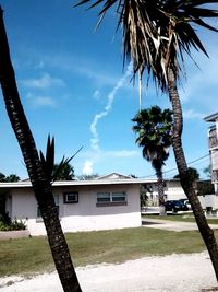 Palm trees against cloudy sky