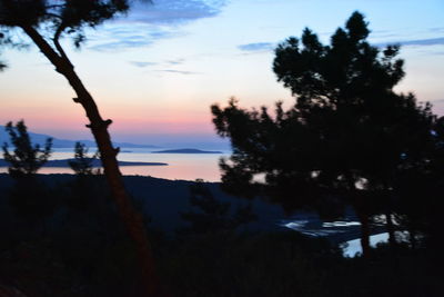 Silhouette trees by lake against sky at sunset