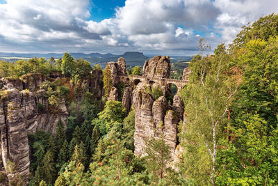 Plants growing on rock against cloudy sky